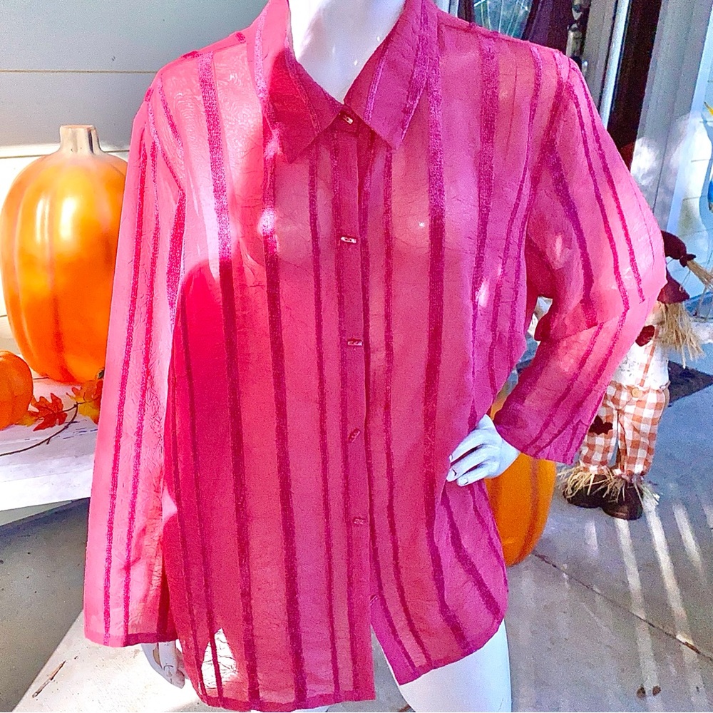 Sheer Pink Striped Women's long sleeve,button down Top